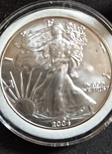 2004 W American Silver Eagle Bullion Coin Bullion (No Mint Mark