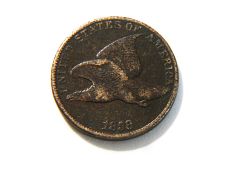 1858 Flying Eagle Cent Large Letters Flying Eagle Penny Coin Value