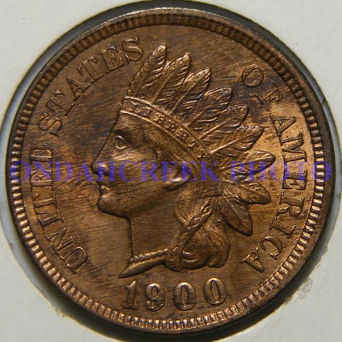 1900 Indian Cent Snow 24 Plate Coin MS-63 RB Woody