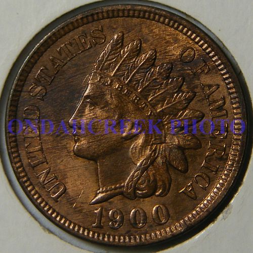 1900 Indian Cent Snow 24 Plate Coin MS-63 RB Woody