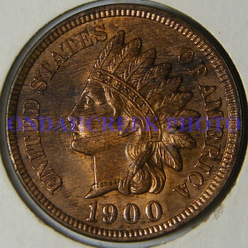 1900 Indian Cent Snow 24 Plate Coin MS-63 RB Woody