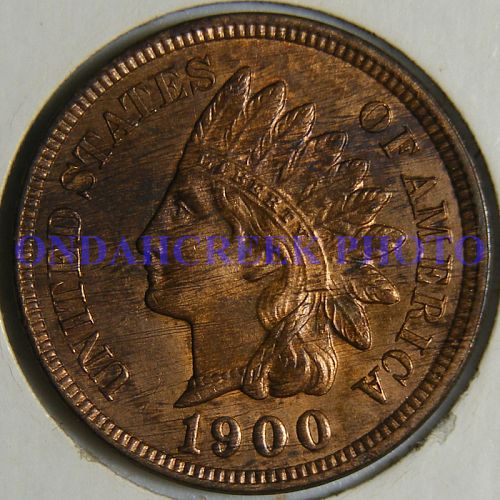 1900 Indian Cent Snow 24 Plate Coin MS-63 RB Woody