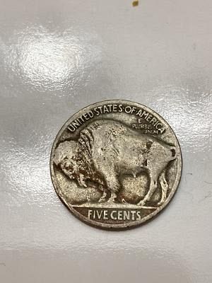 1915 P Buffalo Nickel harder date!!