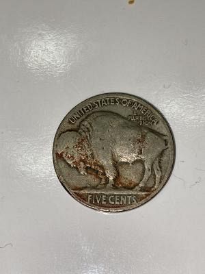 1915 P Buffalo Nickel harder date!!