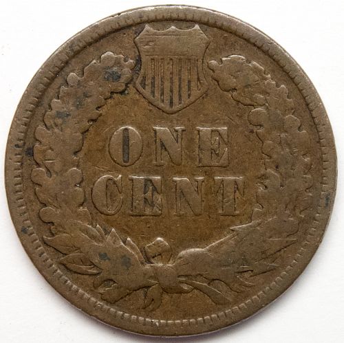 1899 P Indian Head Cent #56 Natural Brown