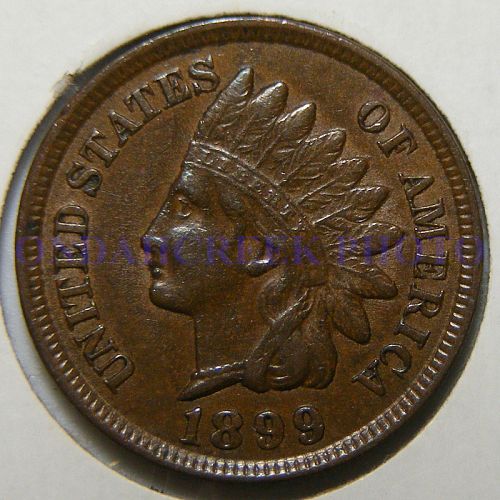 1899 Indian Cent RPD Snow 8 in AU-50