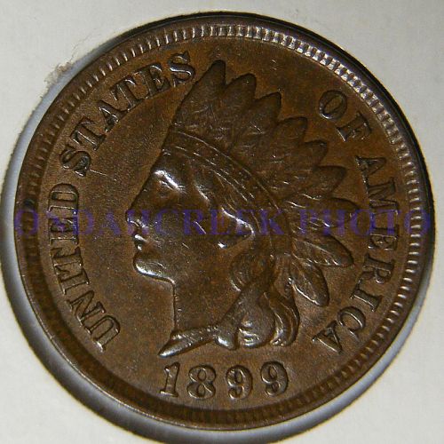 1899 Indian Cent RPD Snow 8 in AU-50