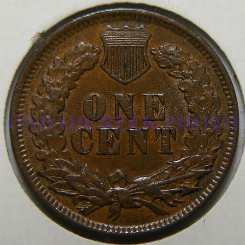 1899 Indian Cent RPD Snow 8 in AU-50