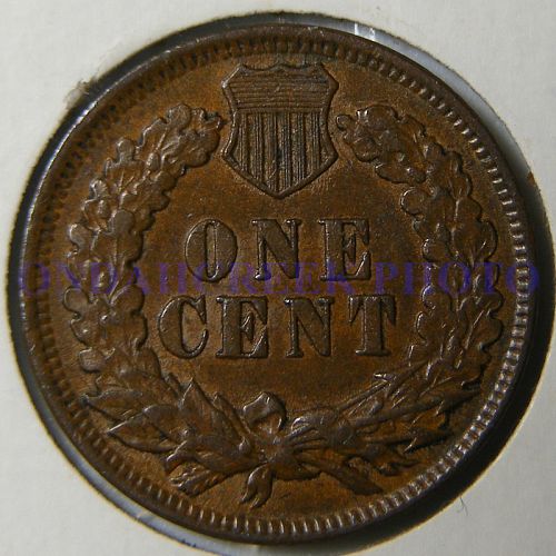 1899 Indian Cent RPD Snow 8 in AU-50