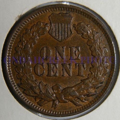 1899 Indian Cent RPD Snow 8 in AU-50