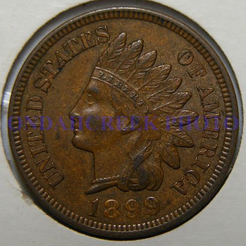 1899 Indian Cent RPD Snow 12 in AU-50