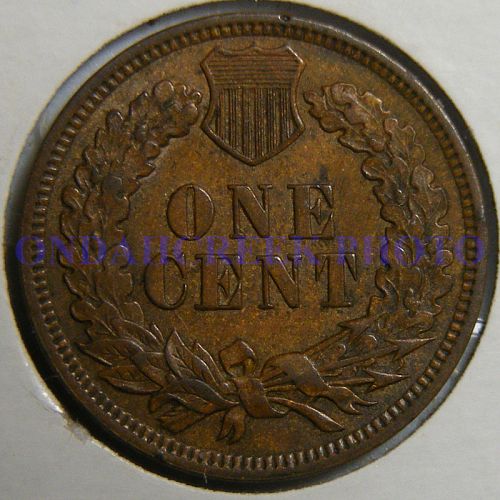 1899 Indian Cent RPD Snow 12 in AU-50