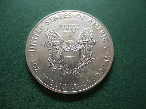 2019  American Silver Eagle.  Item: E 19.