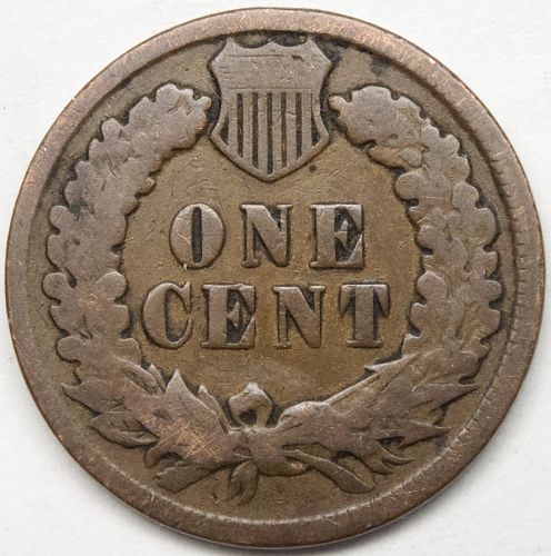 1889 P Indian Head Cent #38  Natural Brown