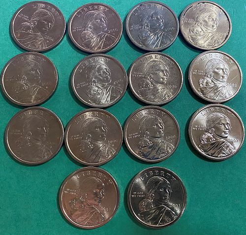 2000 D Native American & Sacagawea Dollars - 14 Coins