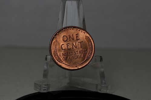 1955 D  Lincoln Cent Solid Gem BU