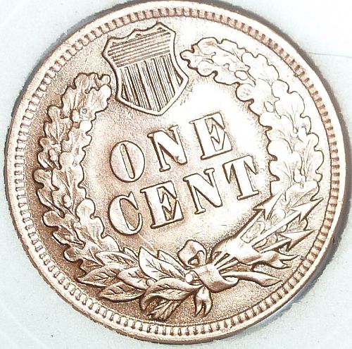 1899 Indian Cent Grades BROWN UNCIRCULATED ( 125-H )