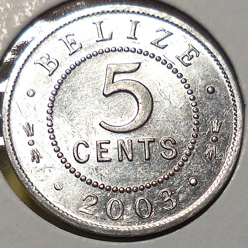 ✅2003 Belize Five Cent✅