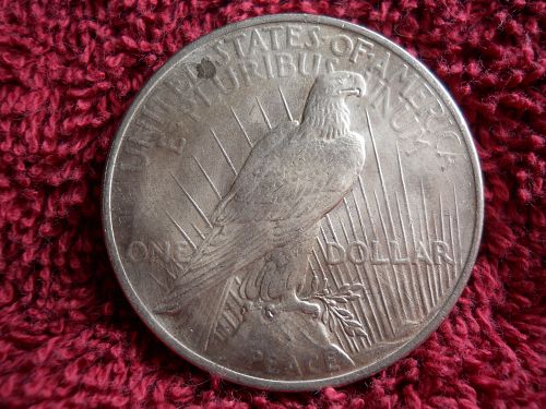 1924 (P) Peace Dollar.  Brilliant Uncirculated Grade.  Original Surfaces.   1