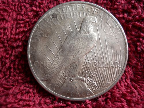 1924 (P) Peace Dollar.  Brilliant Uncirculated Grade.  Original Surfaces.   1