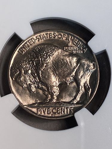 1938-D Buffalo Nickel NGC MS67