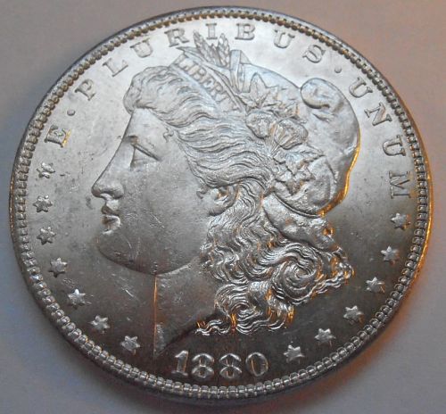 1880 P Morgan Silver Dollar (80PET1)