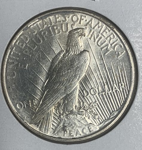 1927-D Peace Dollar MS60 (5131)