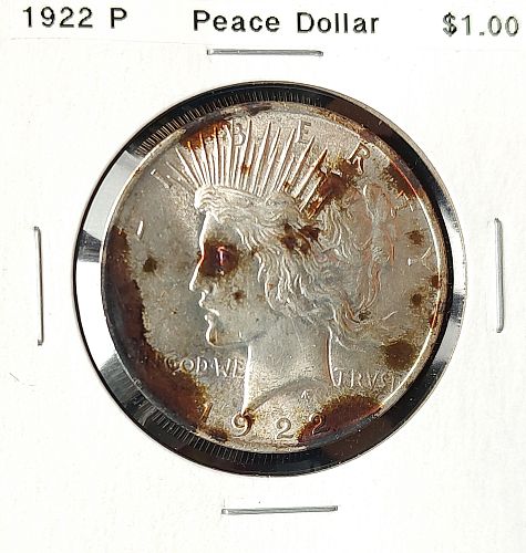 1922 P Peace Dollar - 6 Photos! Beautiful Luster - Unusual Toning!