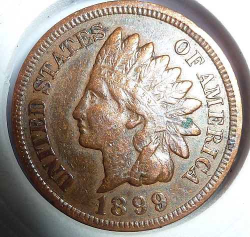 1899 Indian Cent Grades VERY FINE ( 300-I )