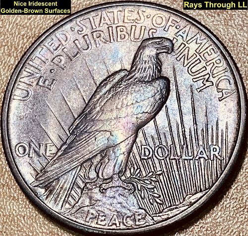 1921 SILVER PEACE DOLLAR - HIGH RELIEF - KEY DATE (VAM-3) TOP 50 (R7) VERY RARE!