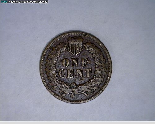 1903 Indian Head Cent (40-331)