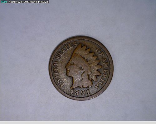 1891 Indian Head cent (45-332)