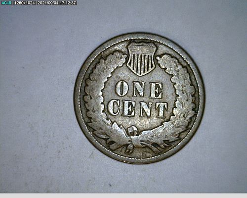 1881 Indian Head cent (23-354)