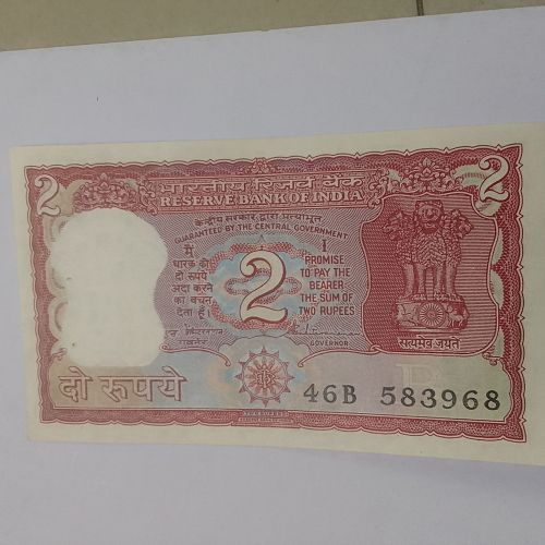 S. Venkat.  India standing Tiger Backside..583698