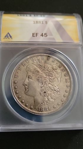 1881 Morgan Dollar EF45