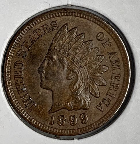 1899 Indian Head Cent, MS60+ (6764)