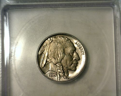1936   BUFFALO NICKEL   ICG MS-64   NICE LOOKING COIN!!