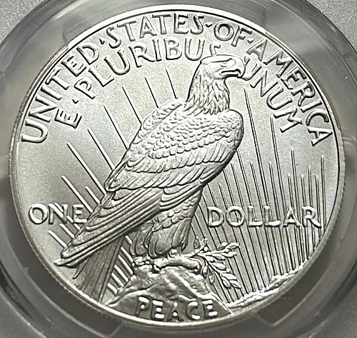 2024 P Peace Dollars : Uncirculated Modern Anniversary Silver Dollars S-5