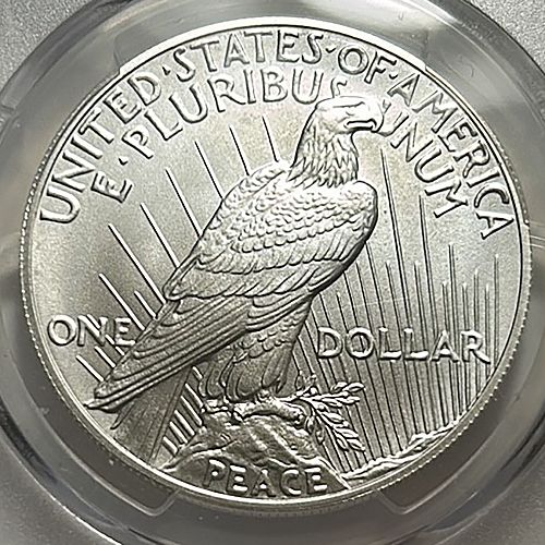 2024 P Peace Dollars : Uncirculated Modern Anniversary Silver Dollars S-5
