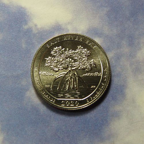 2020-W WEST POINT QUARTER - US Virgin Islands -Salt Rivier Bay Nat'l Pk (BU) LOT H075