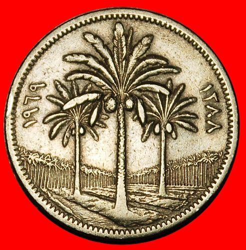 Ⰶ GREAT BRITAIN (1969-1990): IRAQ ★ 50 FILS 1388-1969 PALM TREES!