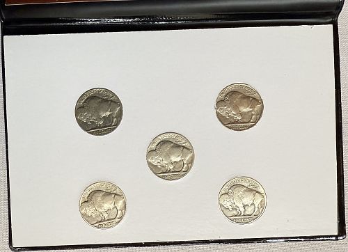 5 Years of Buffalo Head Nickels w/ Certificate of Authenticity 5-Coin Set