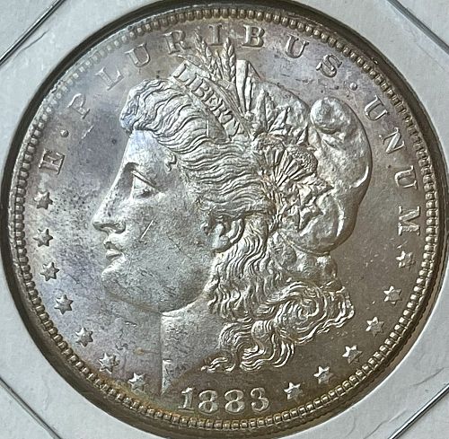 1883-P Morgan Silver Dollar &bull; Brilliant Uncirculated Choice Toned Condition
