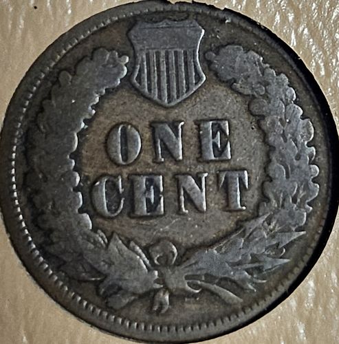 Indian Head Cent 1899 G-6