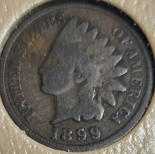 Indian Head Cent 1899 G-6