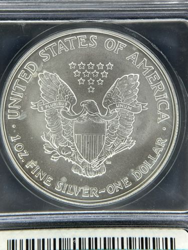 2005 American Silver Eagle