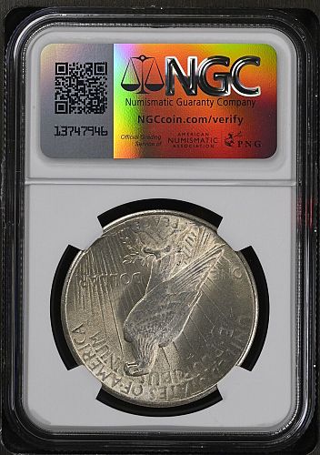 1924-P Peace Dollar NGC MS62