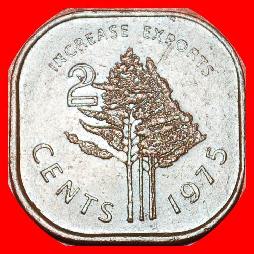 Ⰶ FAO TREES: SWAZILAND ★ 2 CENTS 1975 GREAT BRITAIN! SOBHUZA II (1899-1982)