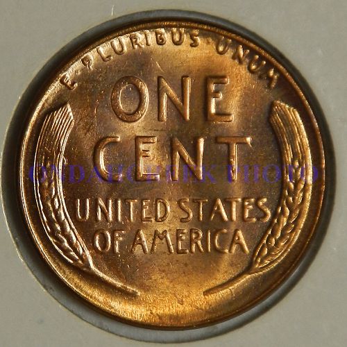 1956 Lincoln Cent Interior Die Break Cracked Skull