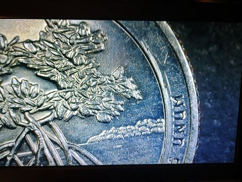 2020-P US Virgin Islands Salt River Bay America the Beautiful Quarter BU Roll Ender
